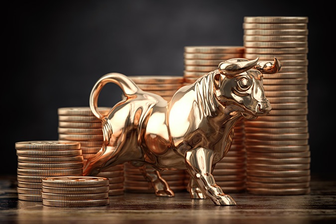 golden bull and coins financial investment in bu 2023 11 27 05 08 46 utc | Bogart Wealth