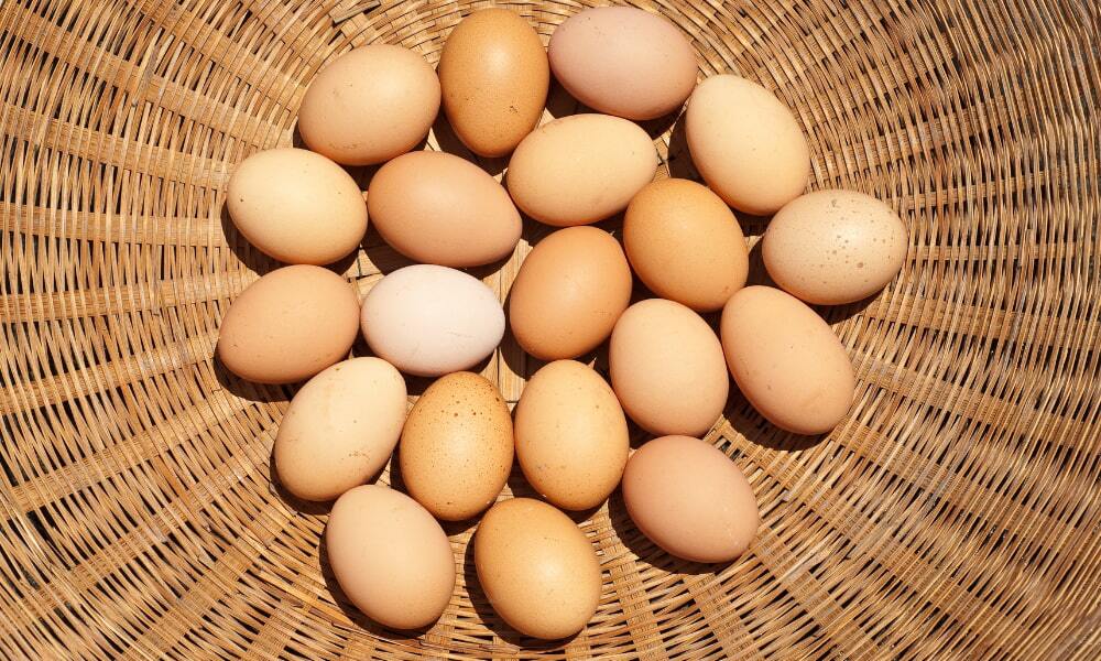 Webinars & Videos - Bogart Wealth Management Commingled Fund